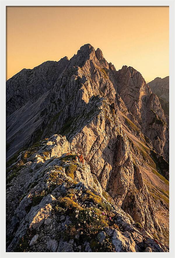 Sandia Mountain Majesty