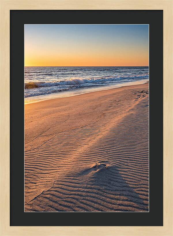 Sandy Shore At Sunset