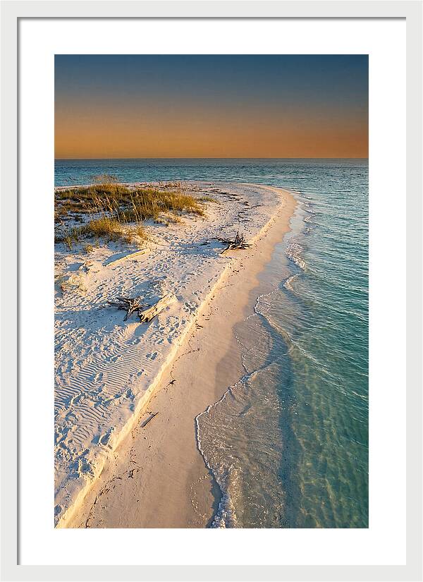 Sandy Shores Of Ship Island