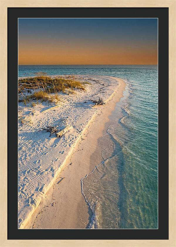 Sandy Shores Of Ship Island