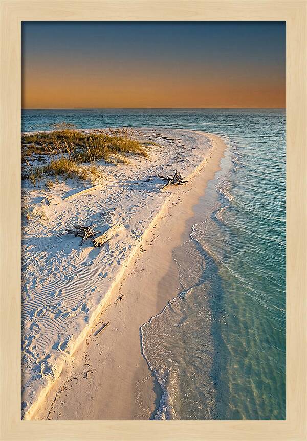 Sandy Shores Of Ship Island