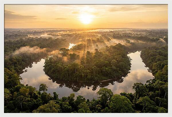 Sangha River Serenity