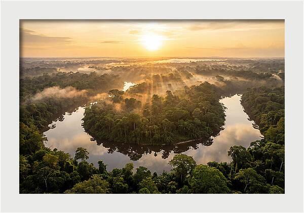 Sangha River Serenity