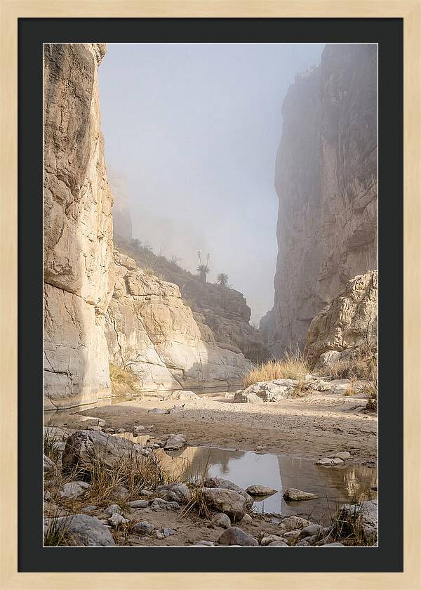 Santa Elena Canyon Tranquility