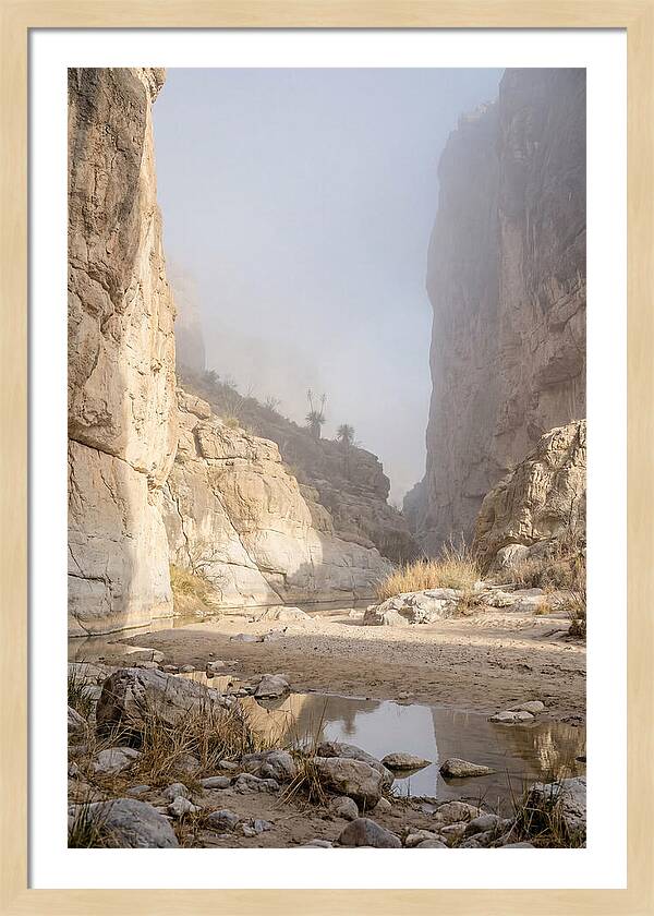 Santa Elena Canyon Tranquility