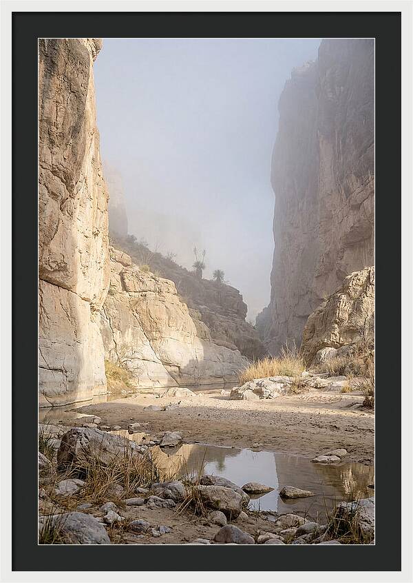 Santa Elena Canyon Tranquility