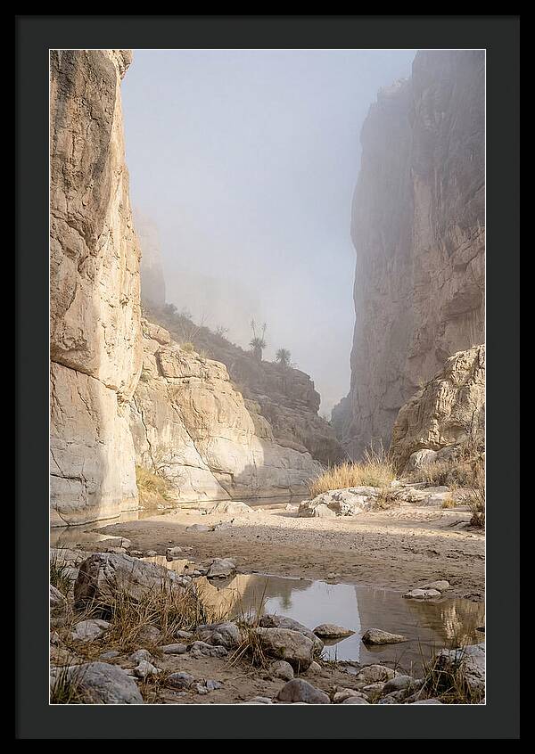 Santa Elena Canyon Tranquility