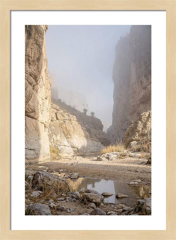 Santa Elena Canyon Tranquility