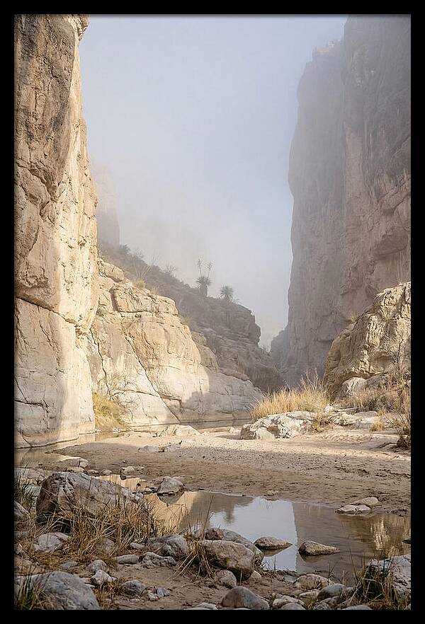 Santa Elena Canyon Tranquility
