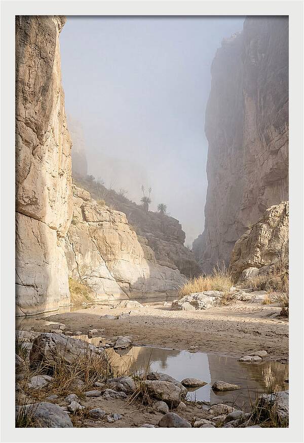 Santa Elena Canyon Tranquility