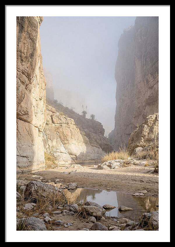 Santa Elena Canyon Tranquility