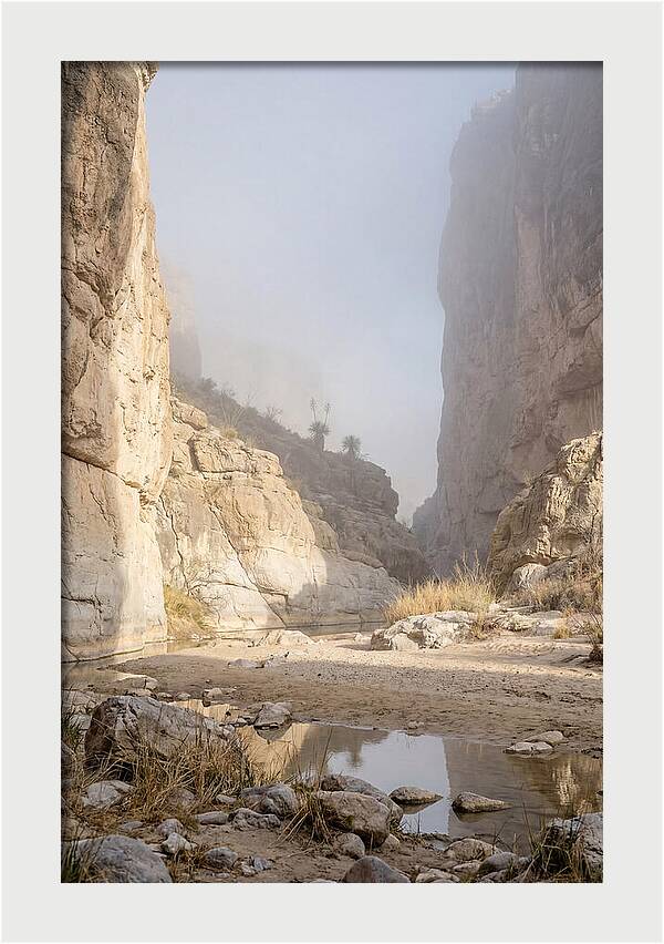 Santa Elena Canyon Tranquility