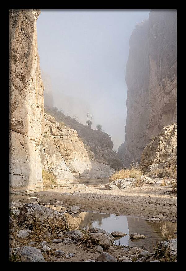 Santa Elena Canyon Tranquility