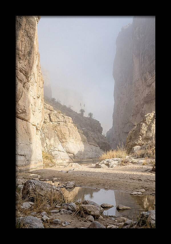 Santa Elena Canyon Tranquility
