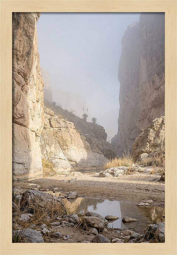 Santa Elena Canyon Tranquility
