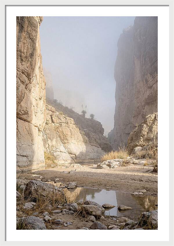 Santa Elena Canyon Tranquility