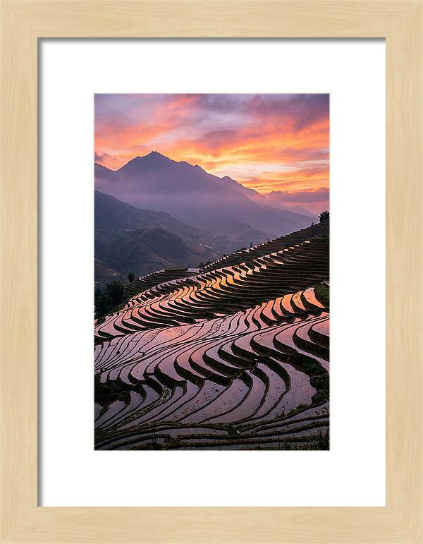 Sapa Rice Terraces At Golden Hour