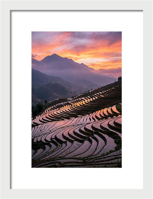 Sapa Rice Terraces At Golden Hour