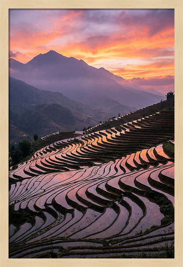Sapa Rice Terraces At Golden Hour