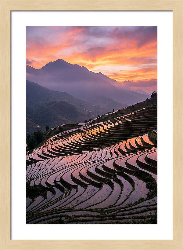 Sapa Rice Terraces At Golden Hour