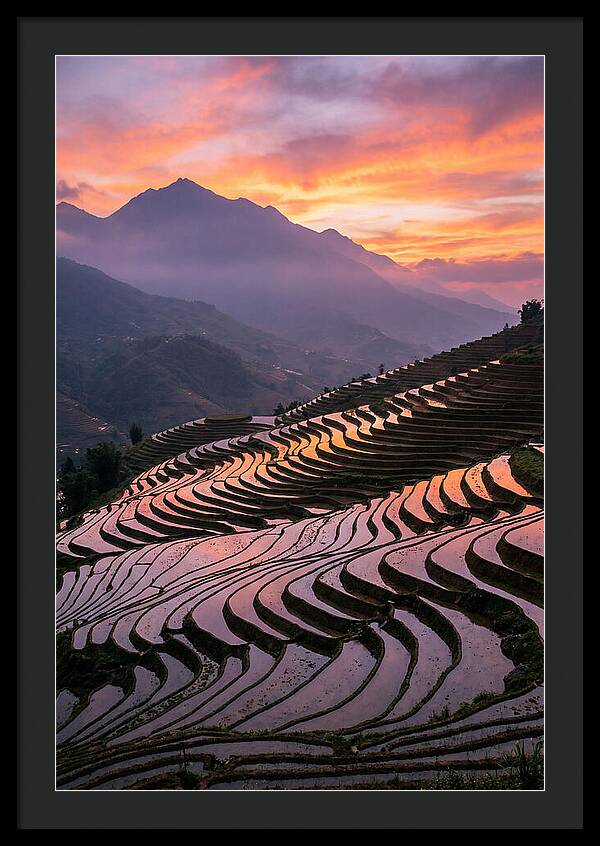 Sapa Rice Terraces At Golden Hour