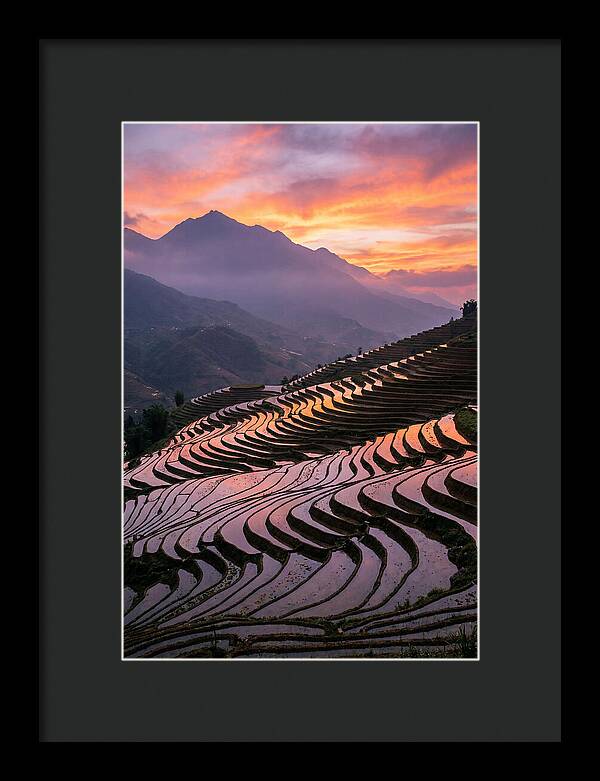 Sapa Rice Terraces At Golden Hour
