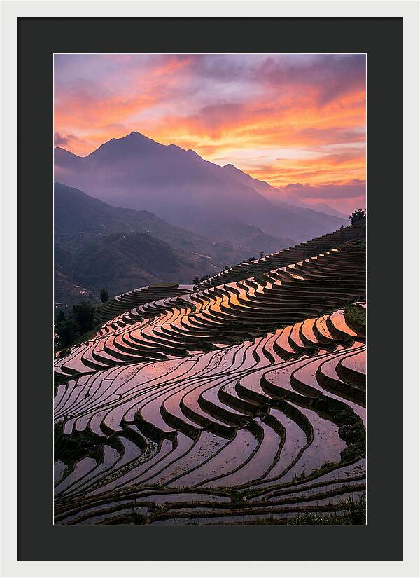 Sapa Rice Terraces At Golden Hour