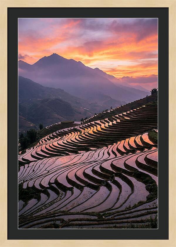 Sapa Rice Terraces At Golden Hour