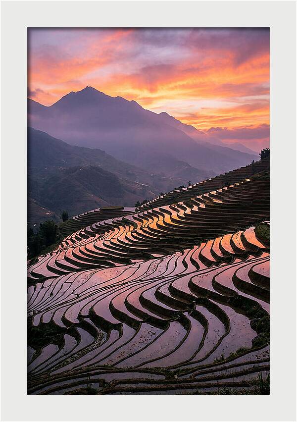 Sapa Rice Terraces At Golden Hour