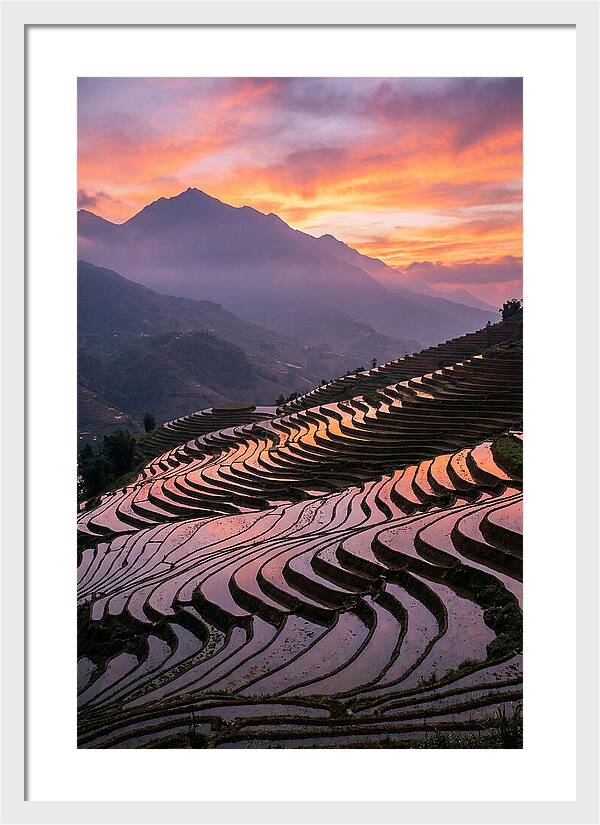 Sapa Rice Terraces At Golden Hour