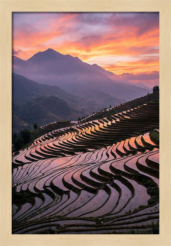 Sapa Rice Terraces At Golden Hour