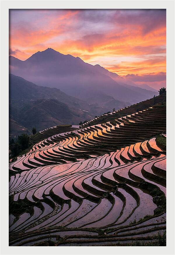 Sapa Rice Terraces At Golden Hour