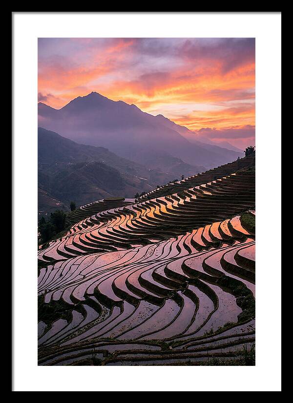 Sapa Rice Terraces At Golden Hour