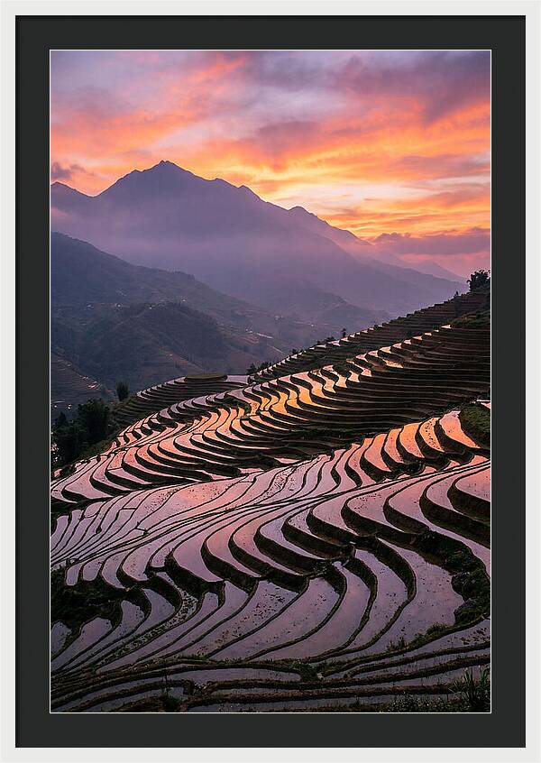 Sapa Rice Terraces At Golden Hour