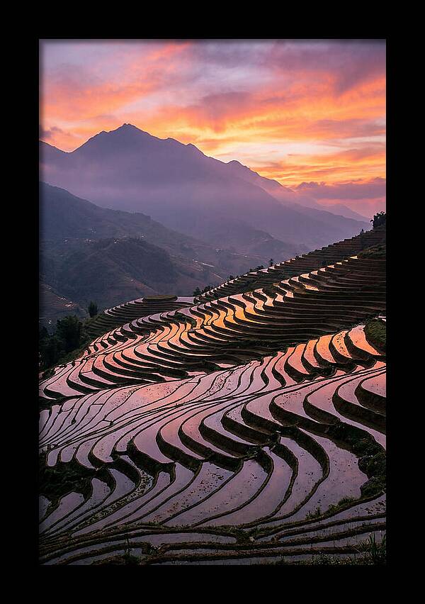 Sapa Rice Terraces At Golden Hour