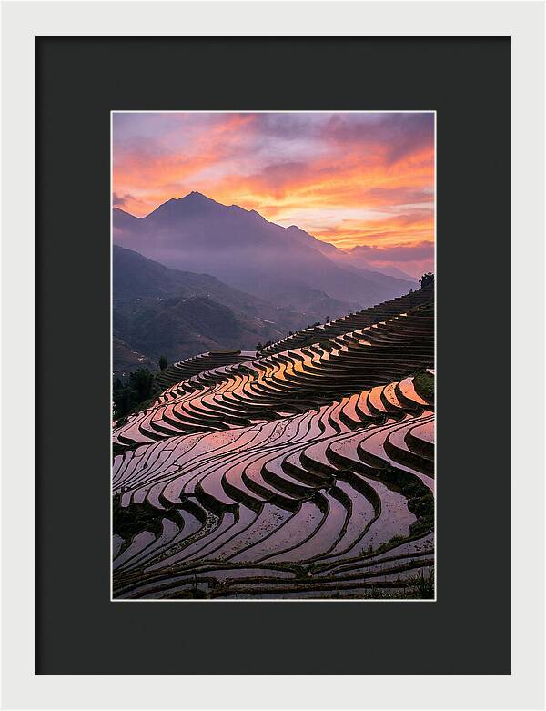 Sapa Rice Terraces At Golden Hour