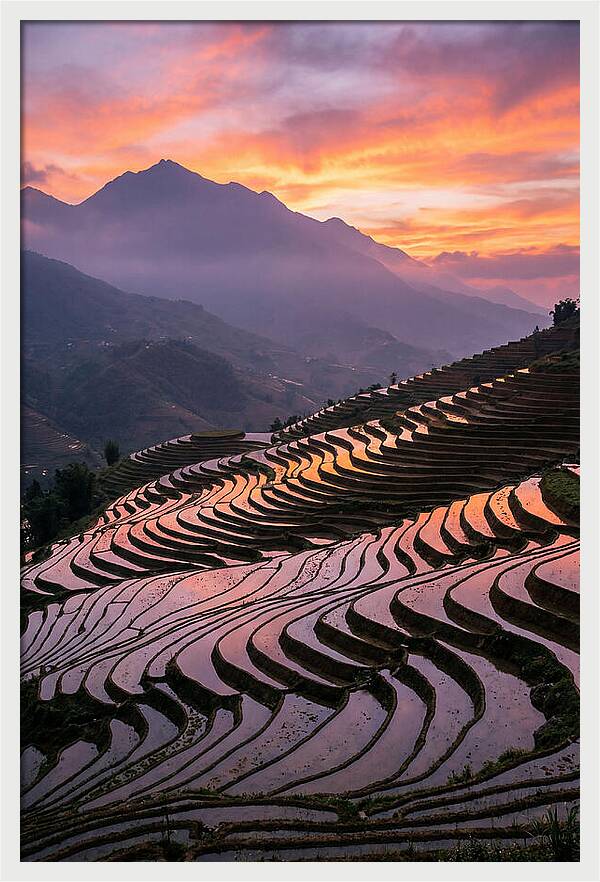Sapa Rice Terraces At Golden Hour