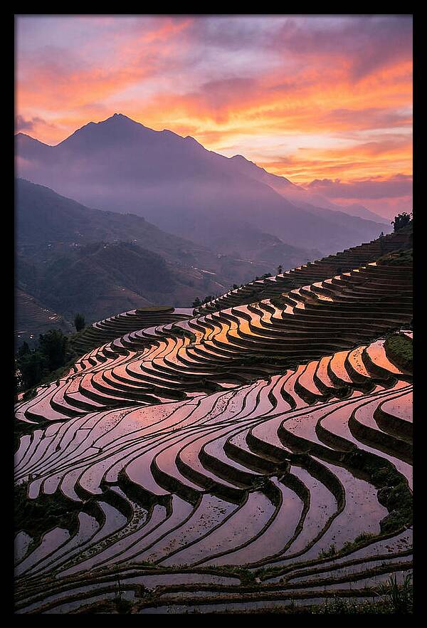 Sapa Rice Terraces At Golden Hour