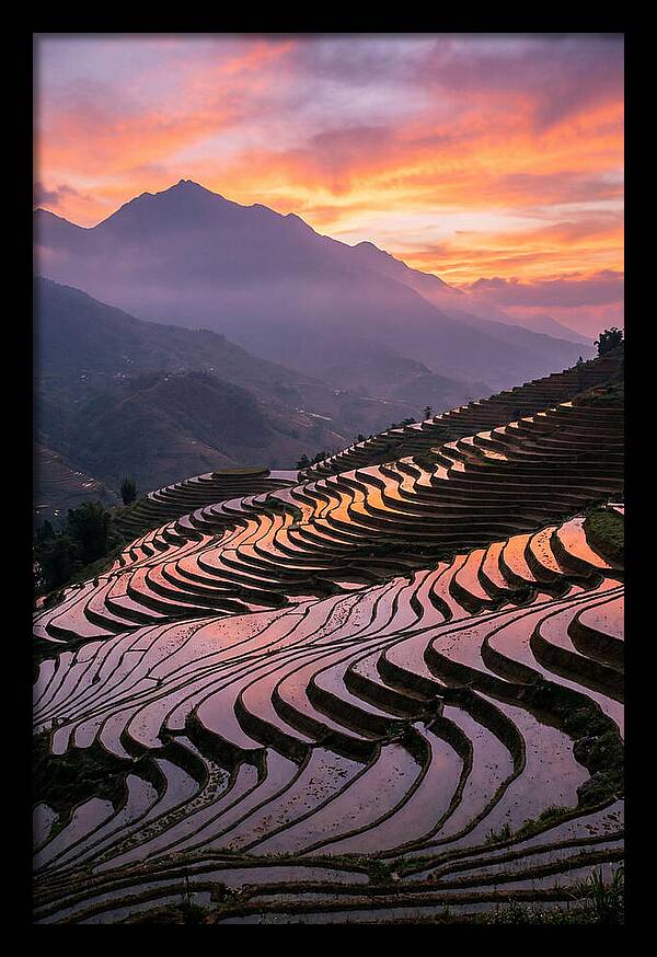 Sapa Rice Terraces At Golden Hour