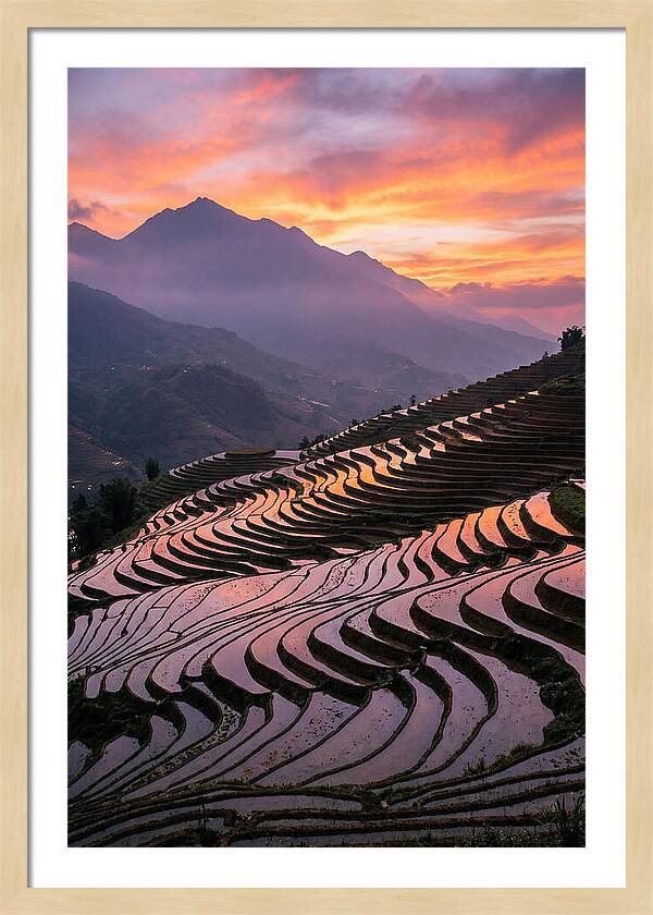 Sapa Rice Terraces At Golden Hour