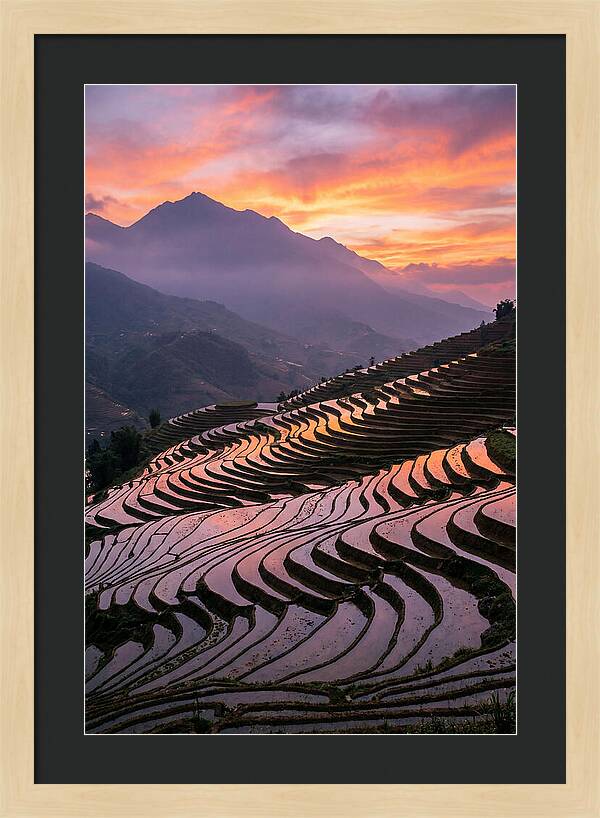 Sapa Rice Terraces At Golden Hour