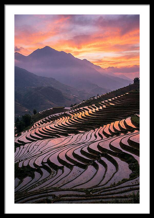 Sapa Rice Terraces At Golden Hour