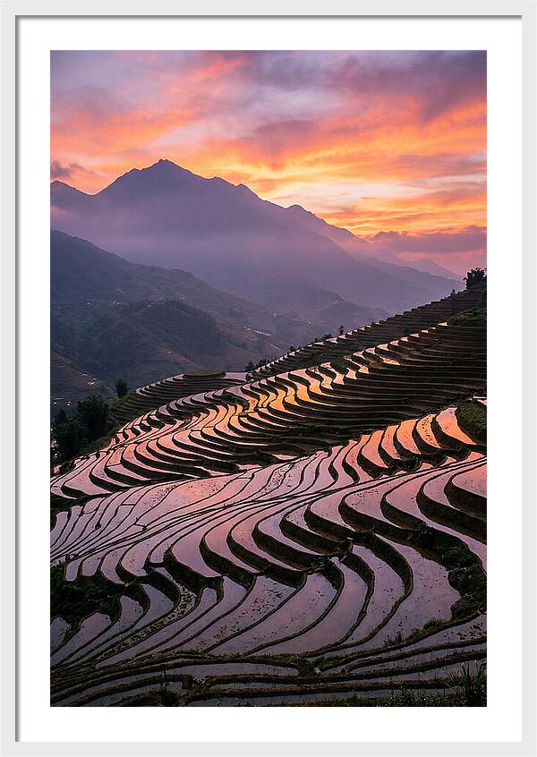 Sapa Rice Terraces At Golden Hour
