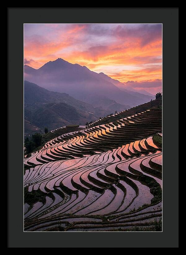 Sapa Rice Terraces At Golden Hour