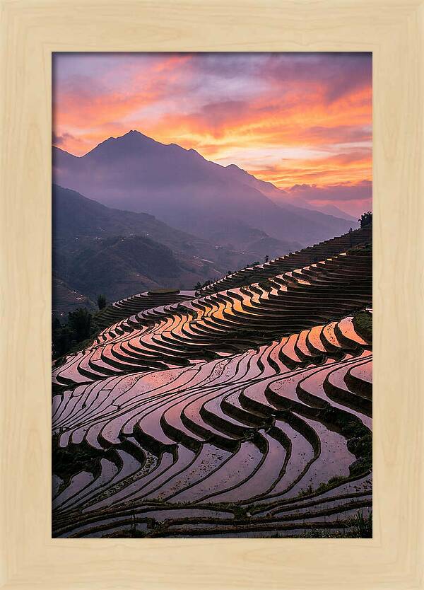 Sapa Rice Terraces At Golden Hour