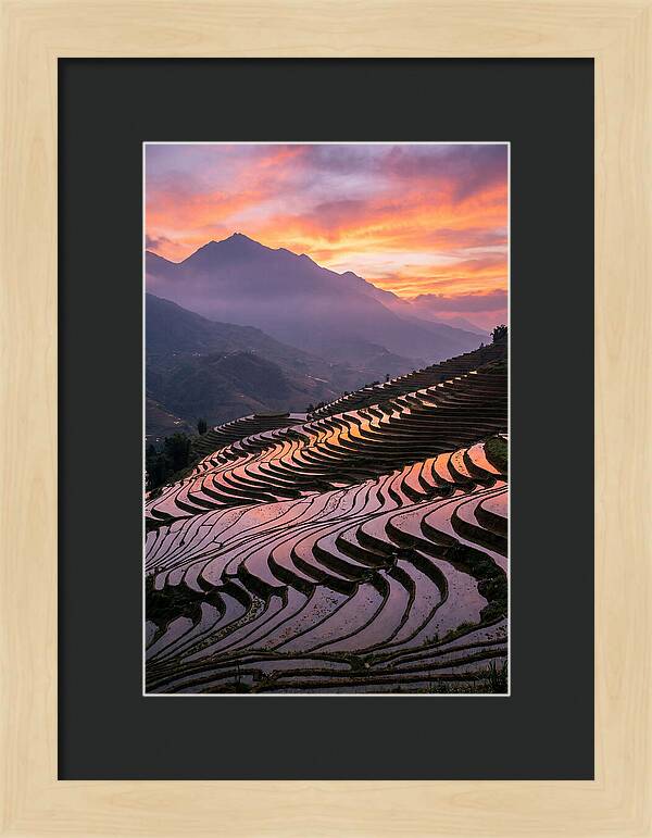 Sapa Rice Terraces At Golden Hour