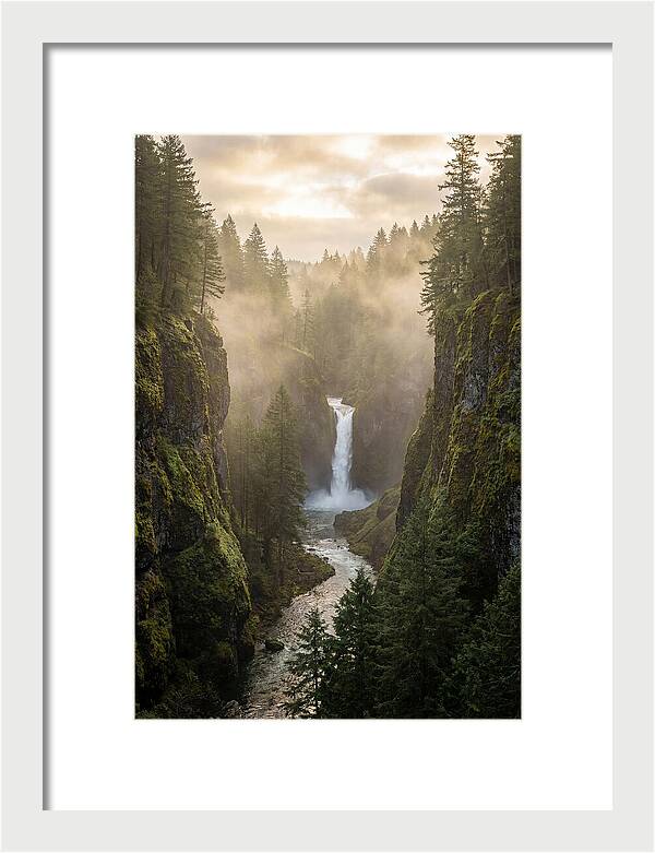 Savage Gulf Waterfall Serenity