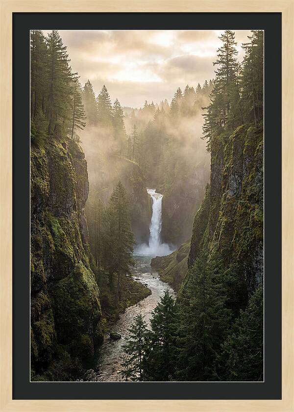 Savage Gulf Waterfall Serenity