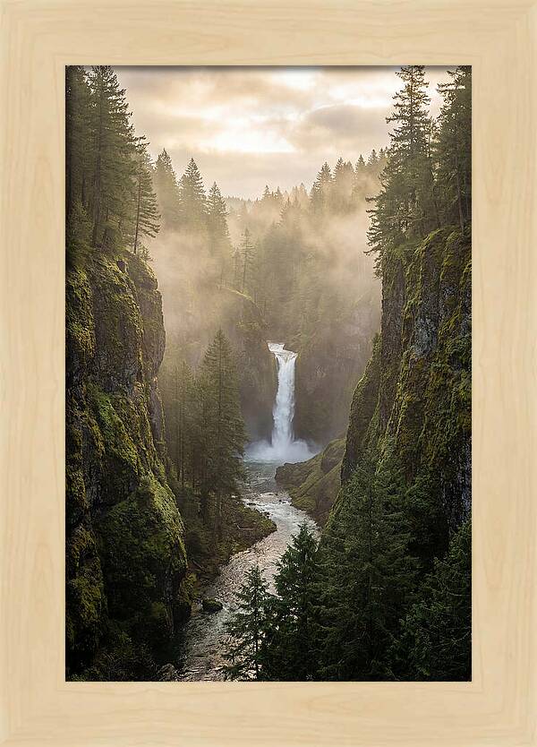 Savage Gulf Waterfall Serenity