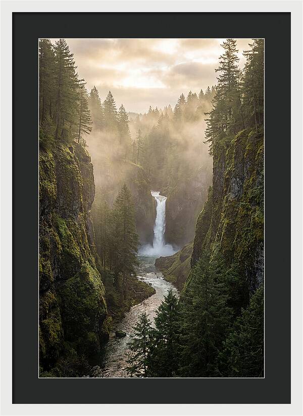Savage Gulf Waterfall Serenity